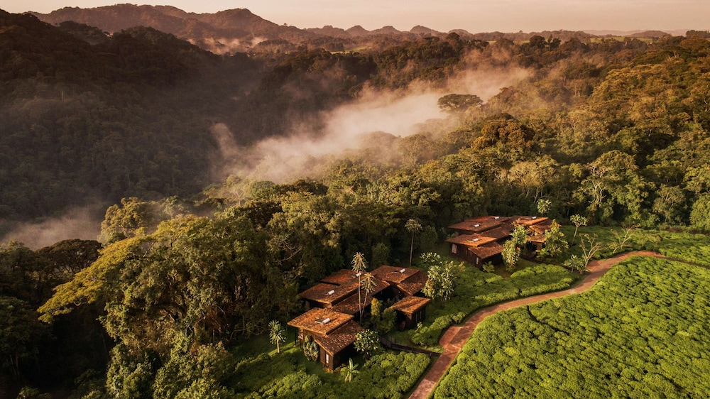 Nyungwe Tea Forest Resort 54/71