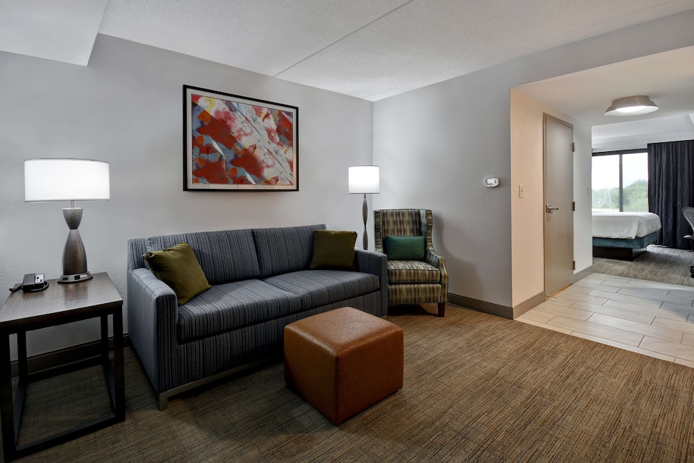Hilton Garden Inn Detroit Metro Airport 28/45