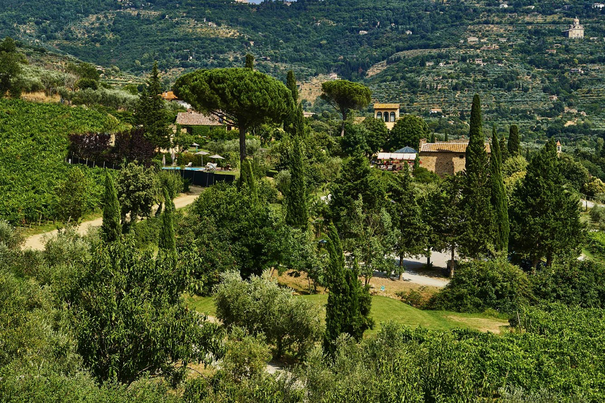 Il Falconiere 76/83