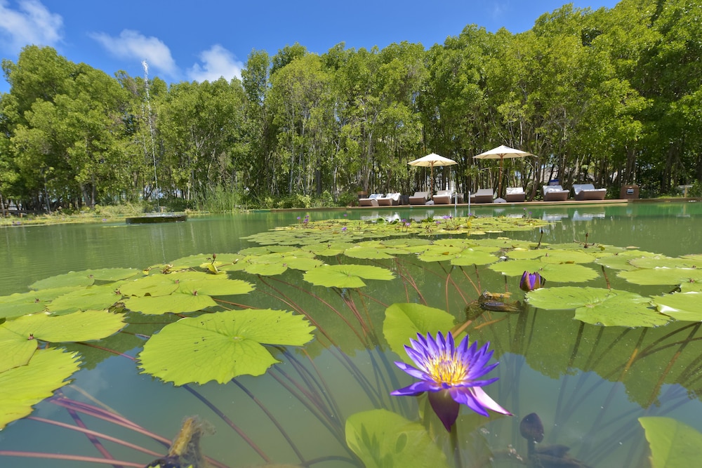 Dreamland The Unique Sea & Lake Resort Spa 30/41