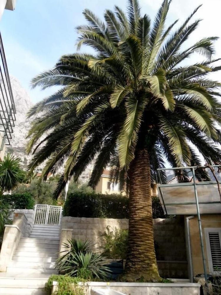Apartments Palma 5/54