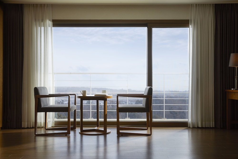 Jeju Aerospace Hotel 29/39