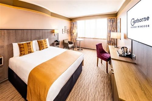 Room, Single