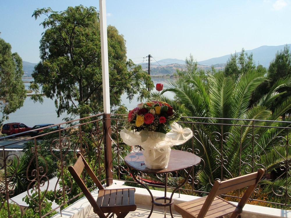 Villa Olga Lounge Hotel 30/41