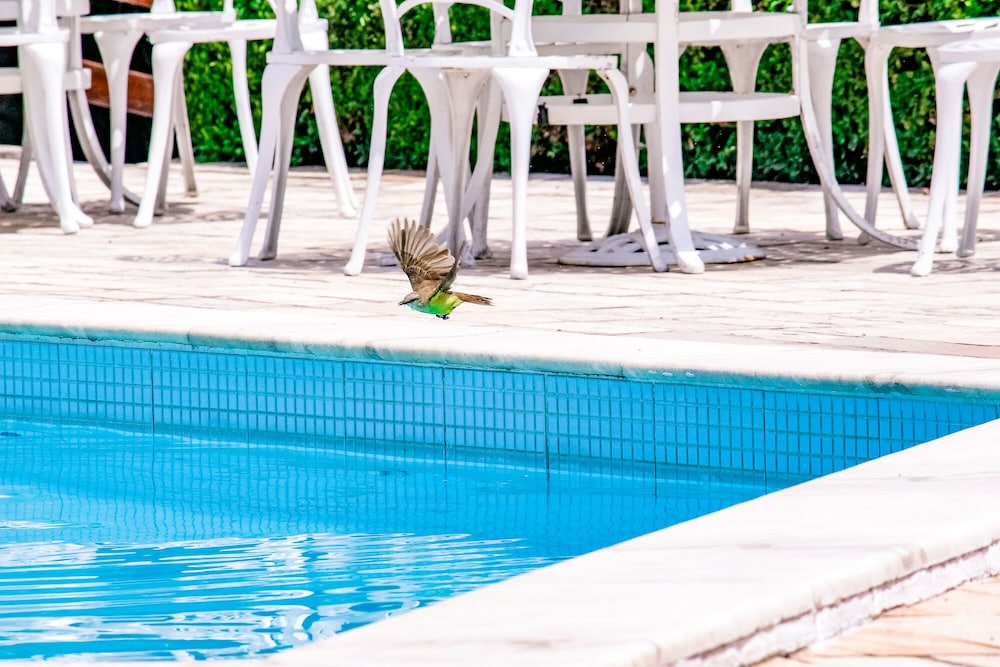 Hotel Tres Palmeiras 30/35