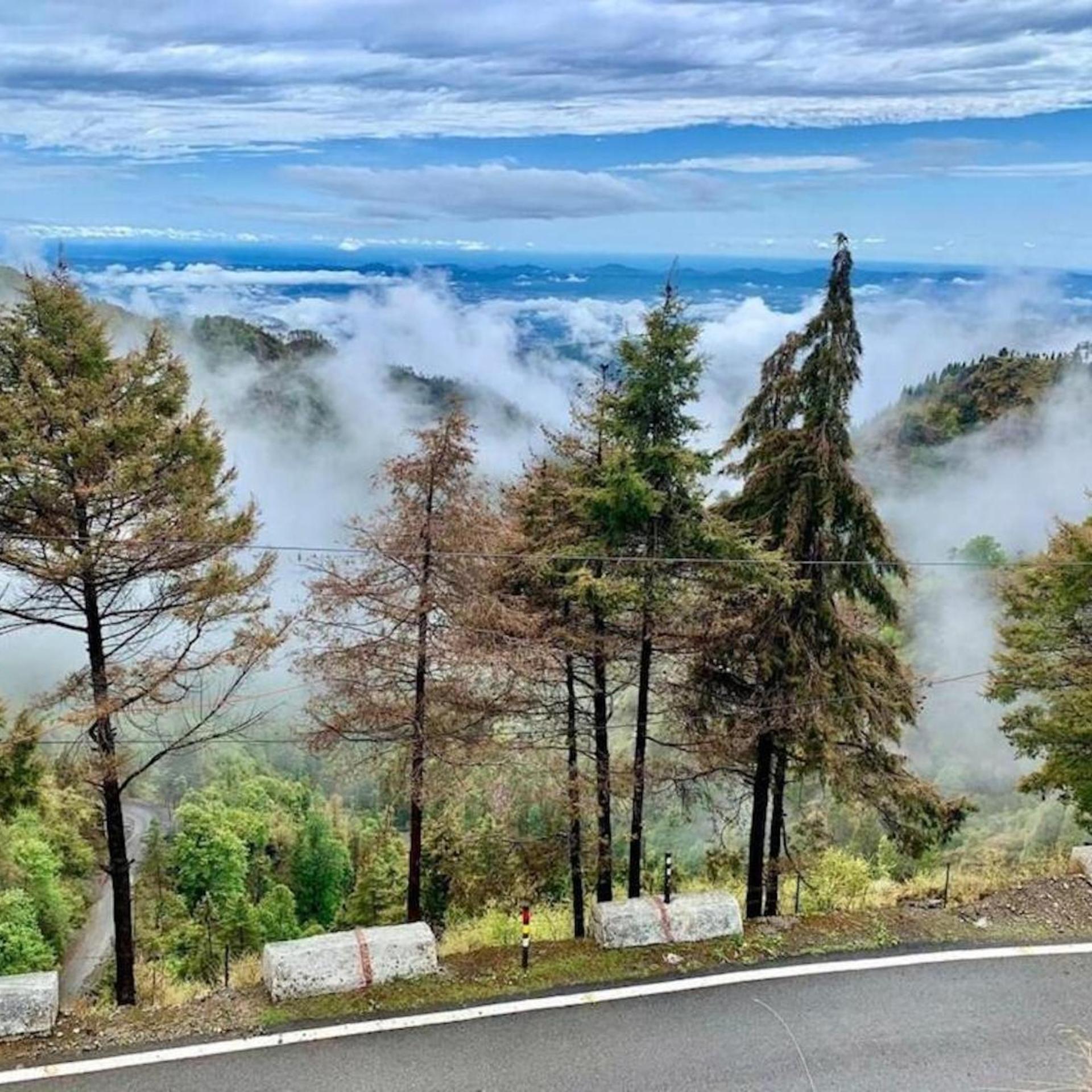 La Riqueza Dhanolti View 9/60