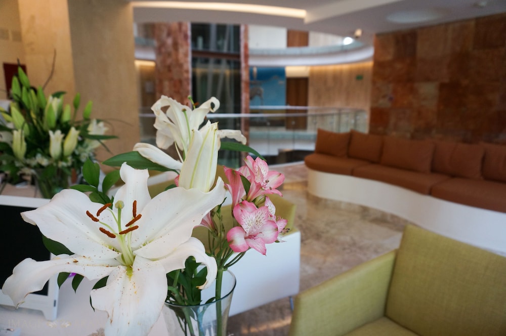 Senses Quinta Avenida By Artisan Adults Only 10/62