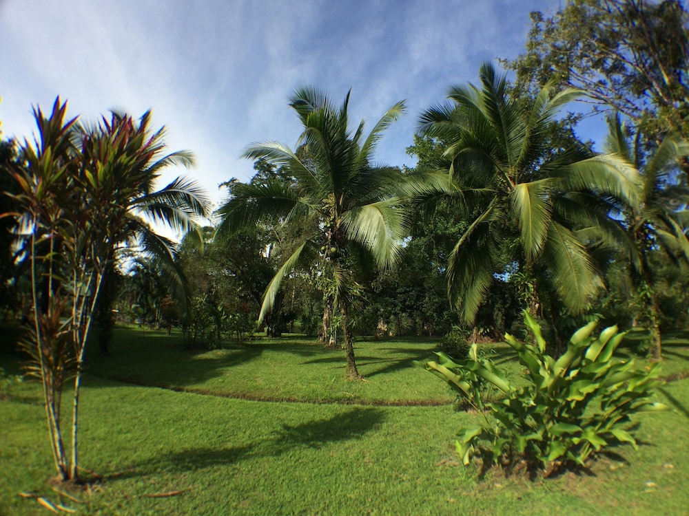 Caribbean Paradise Eco-Lodge 39/50