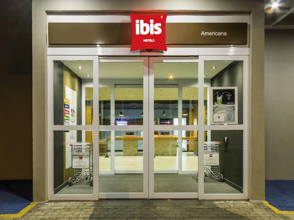 Ibis Americana 1/43