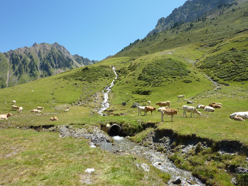 surroundings