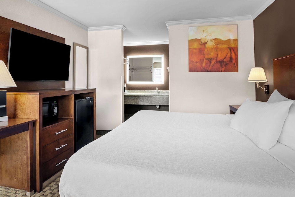 Suite, 3 Queen Beds, Bath and Shower