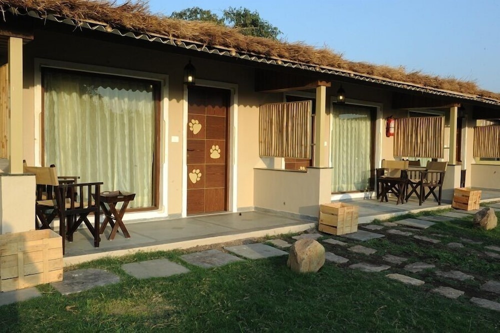 Asiatic Lion Lodge 16/50