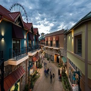 Margaritaville Island Hotel 2/39