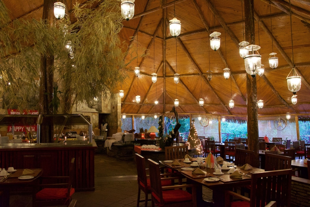 Fig Tree Camp 19/45