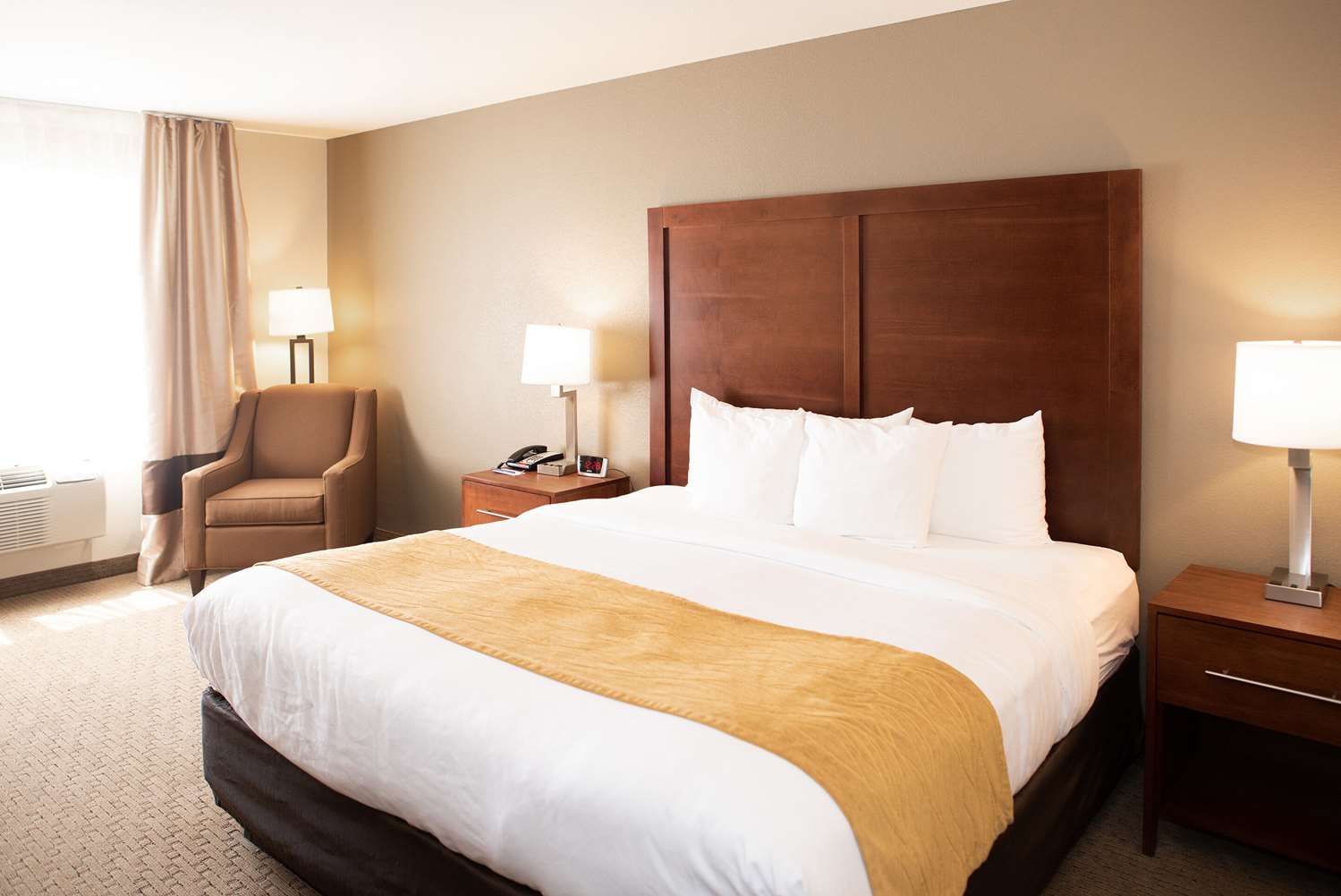 Room, King Bed