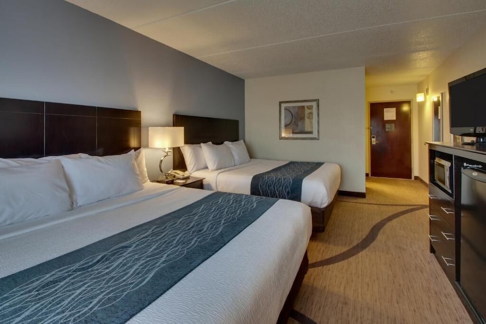 2 Bedrooms, Standard, 2 King Beds