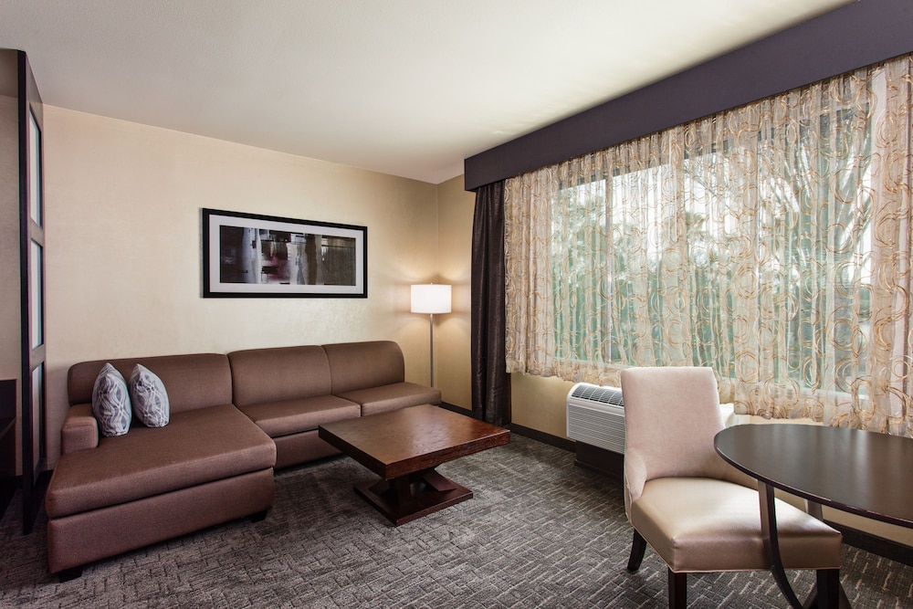 Holiday Inn Express & Suites Anaheim Resort Area 41/58