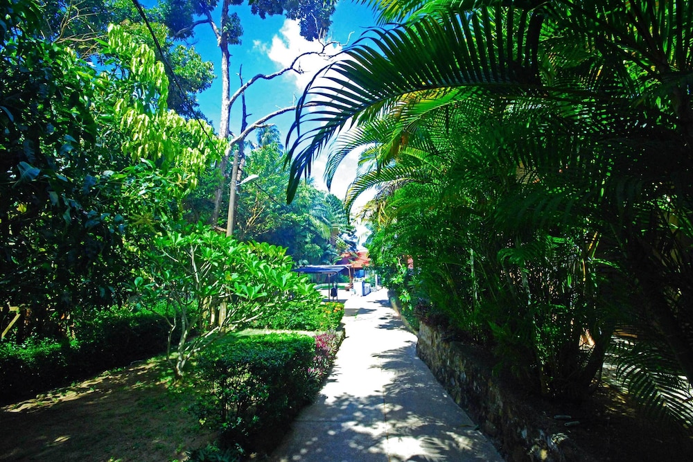 Tioman Dive Resort 32/43