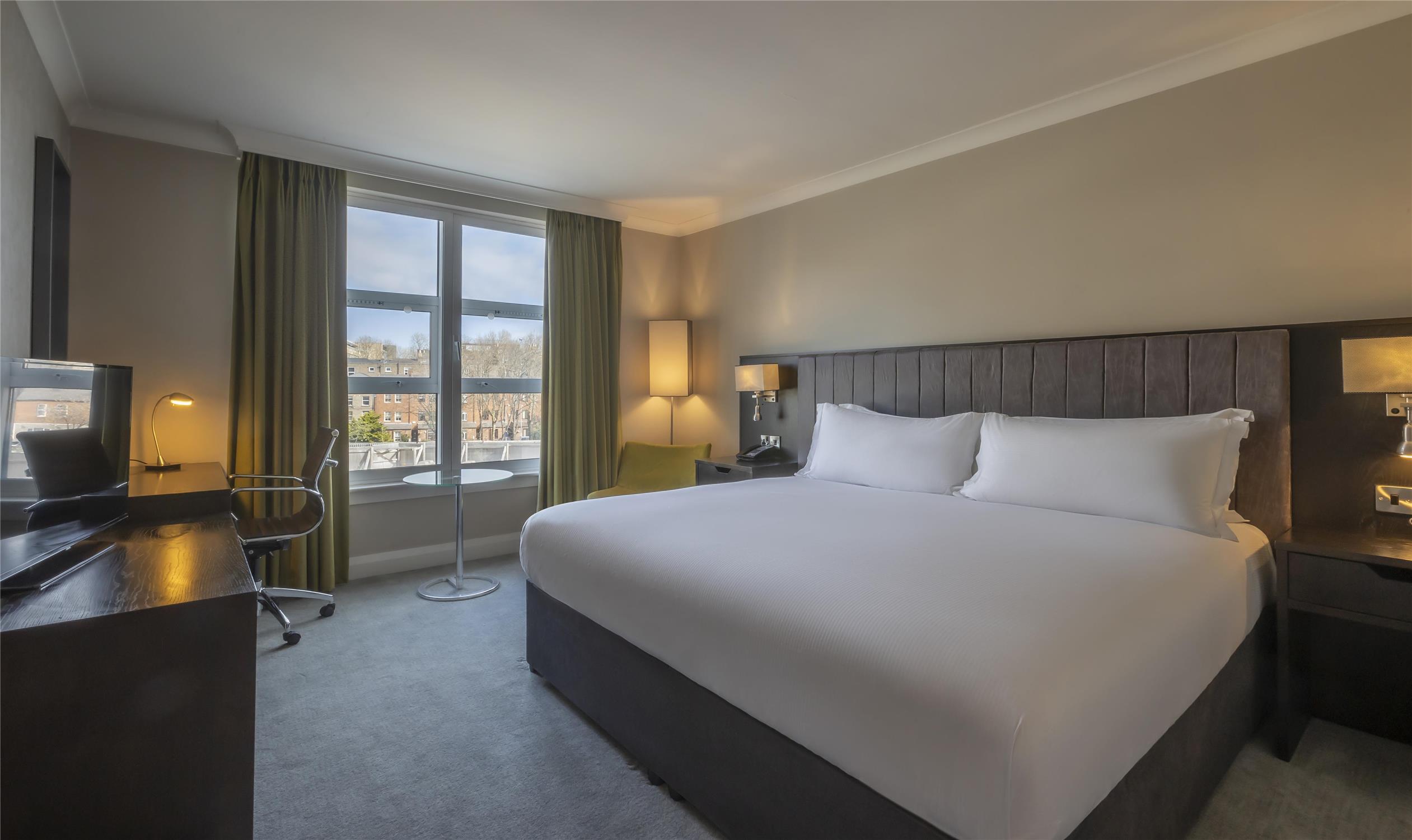 Room, King Bed