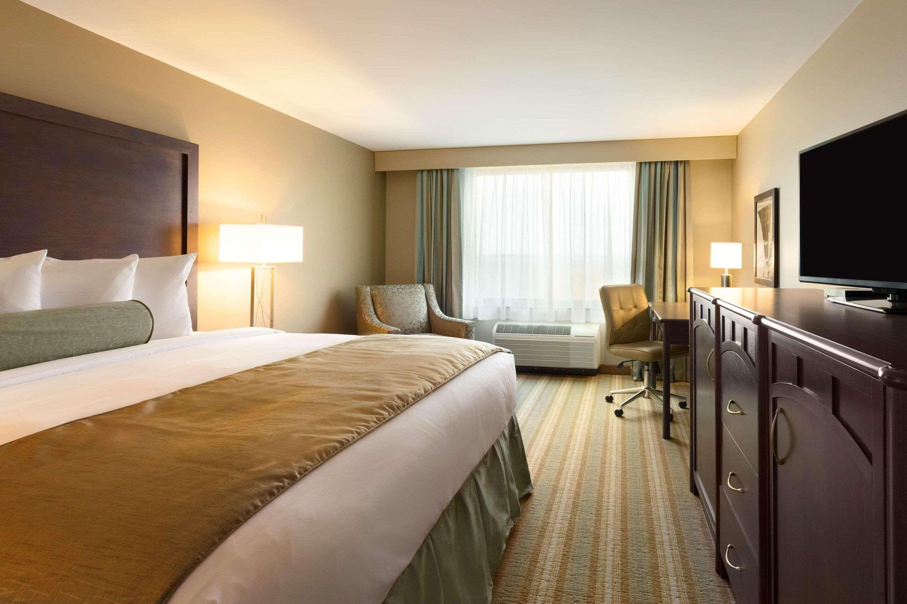 Room, King Bed