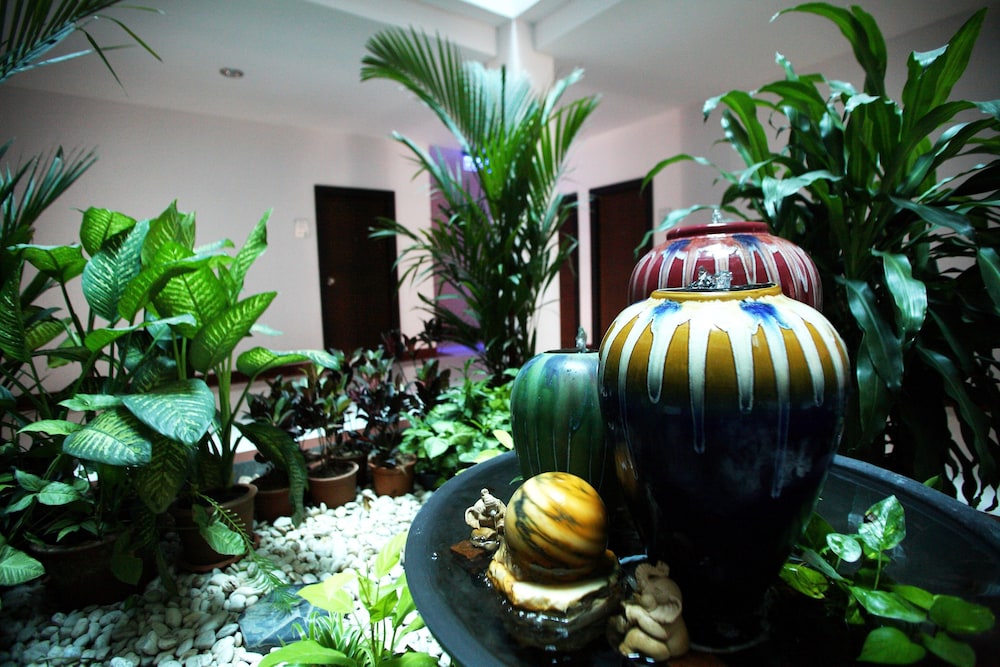 Pattara Place 51/51