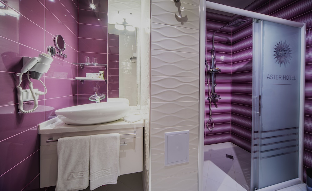 ASTER HOTEL GROUP 15/55