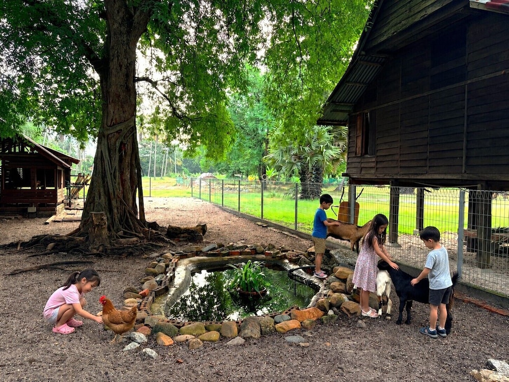 Pelangi Beach Resort and Spa 42/74