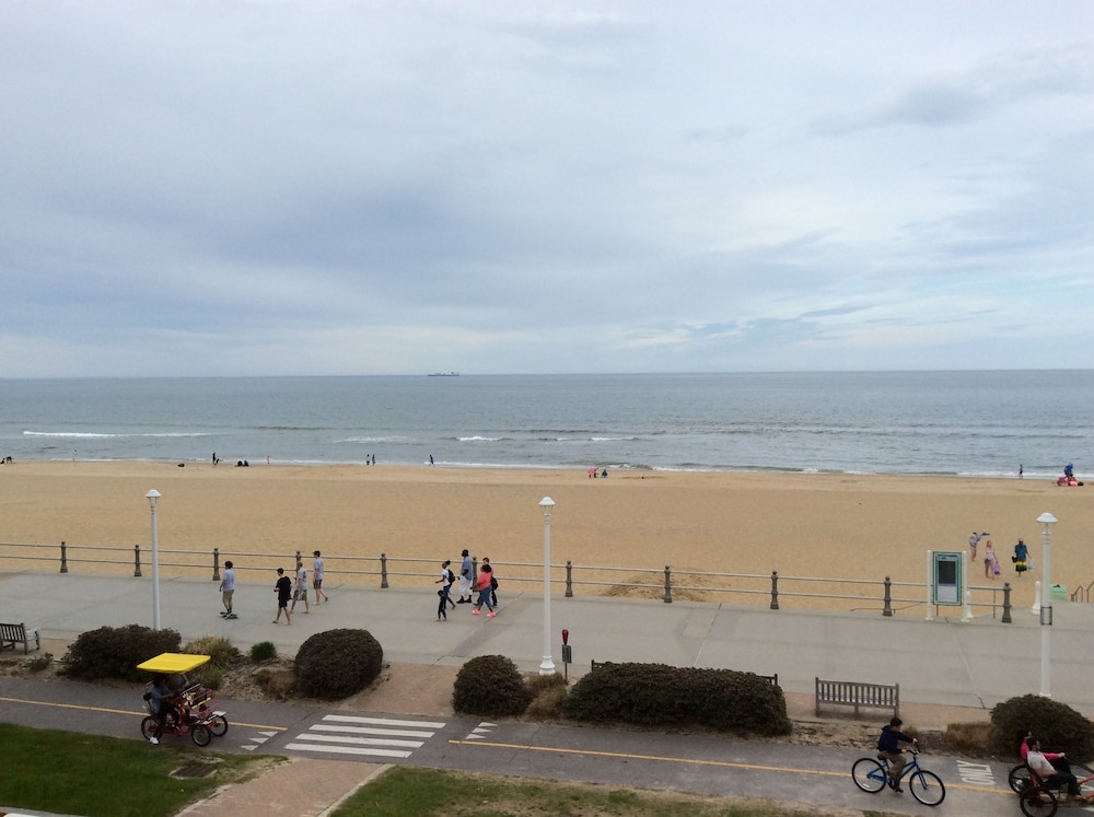 Oceans 24 16/20
