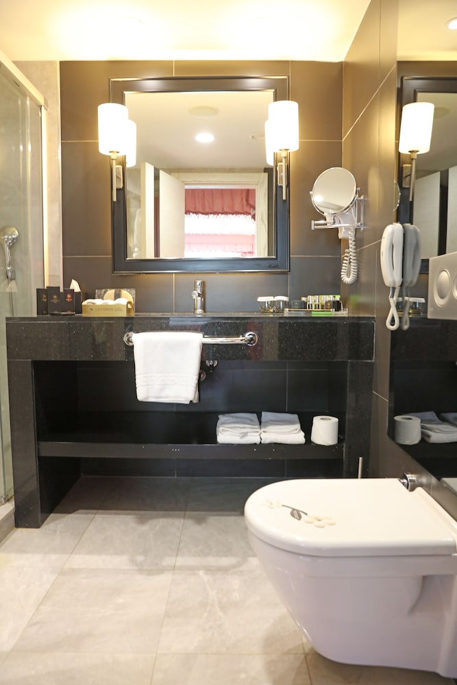 Latanya Hotel Ankara 76/76