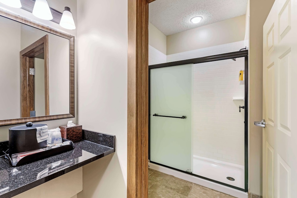 غرفة قياسية بسرير كينج يُسمح فيها بالحيوانات الأليفة، Best Western Plus Dutch Haus Inn And Suites 2/2