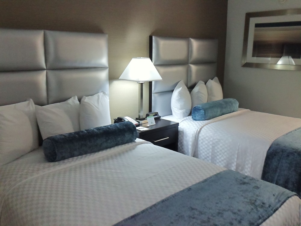 Best Western Webster Hotel, Nasa 8/50
