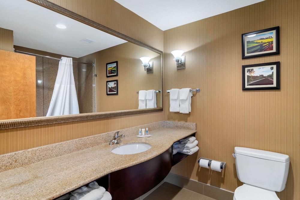 Comfort Suites Byron Warner Robins 17/40