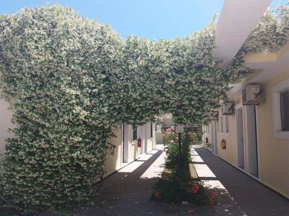 Monika Hotel Apartments 46/55