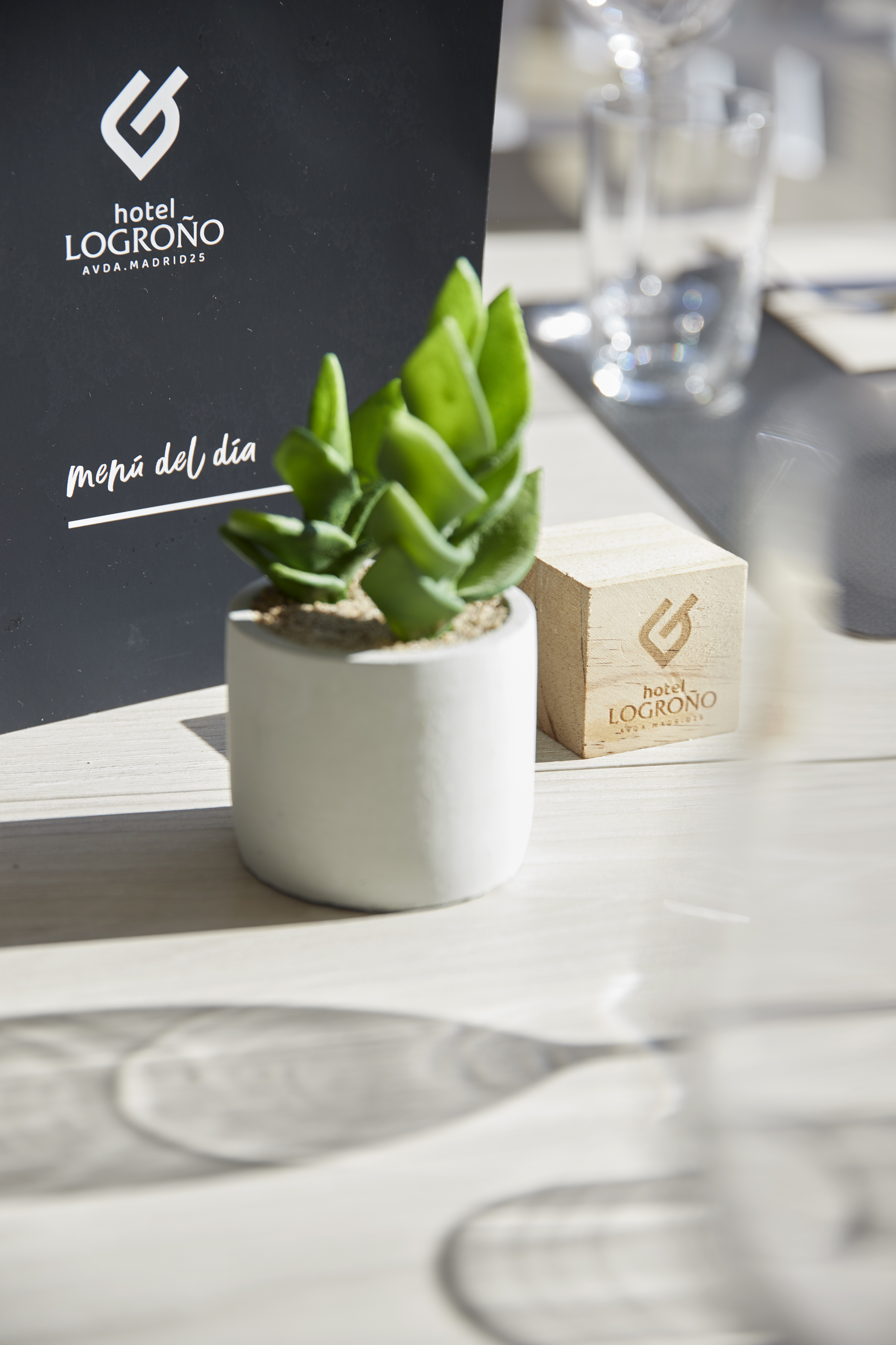Iraipe Logrono Hotel 17/48
