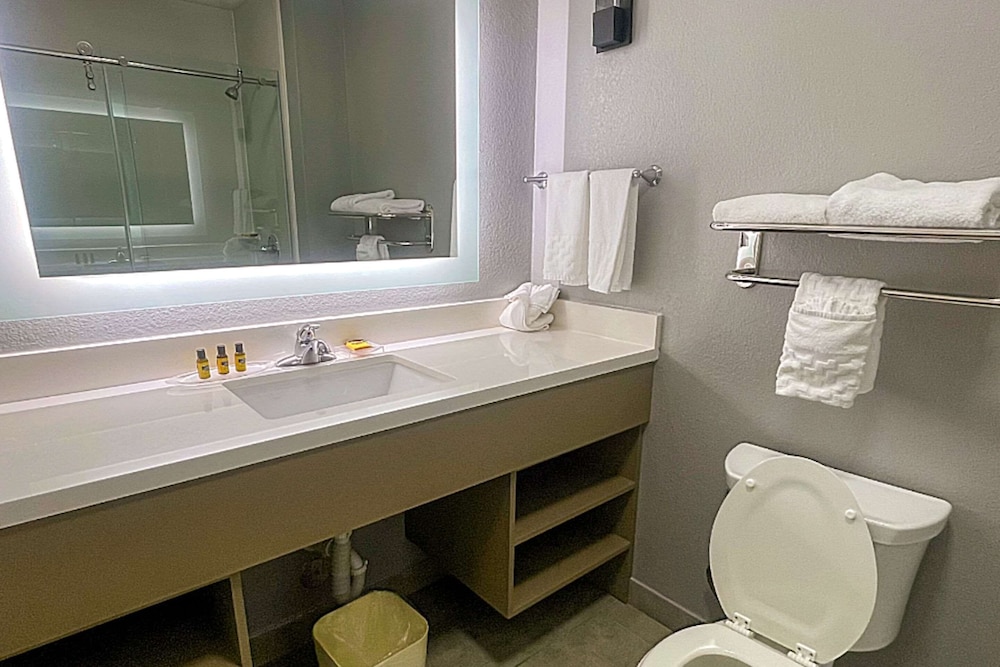 جناح بسريرين كوين لذوي الإعاقة، Comfort Suites Seabrook Kemah 3/4