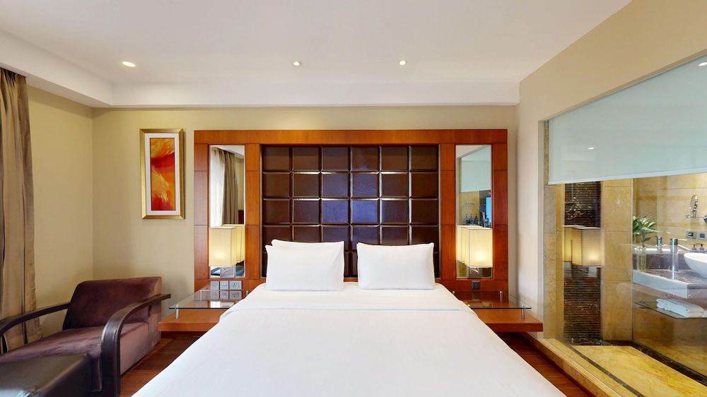 Radisson Blu Plaza Hotel Delhi Airport 15/76