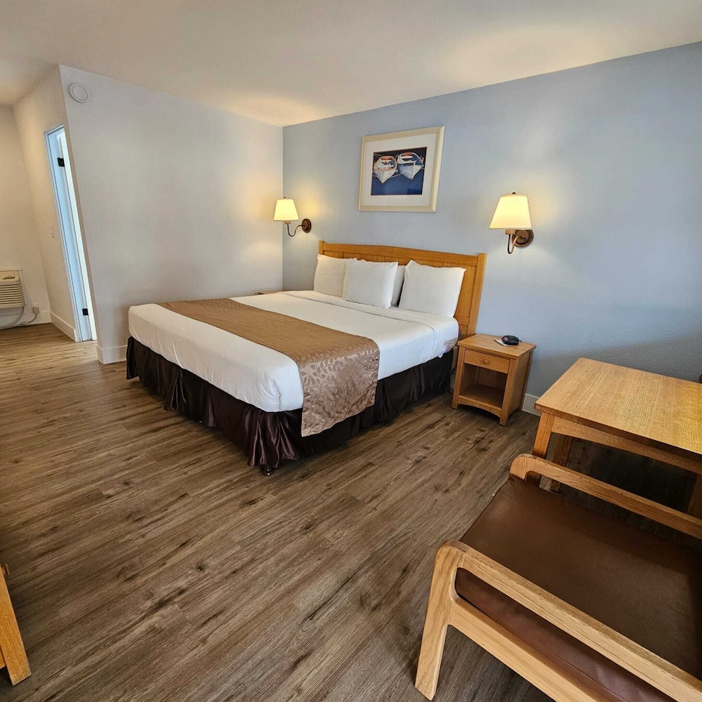 Skylark Shores Resort 20/50