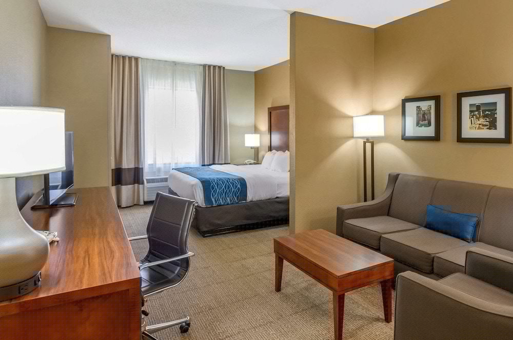 Comfort Inn & Suites Lynchburg Airport - University Area 27/40