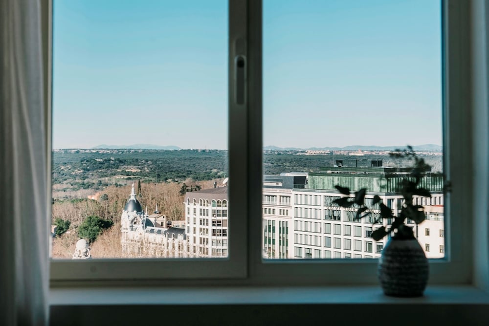 Dear Hotel Madrid 31/69