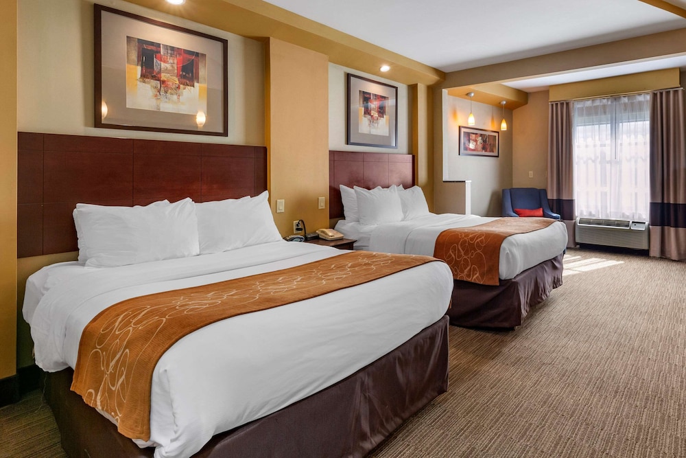 Comfort Suites Perrysburg - Toledo South 13/49