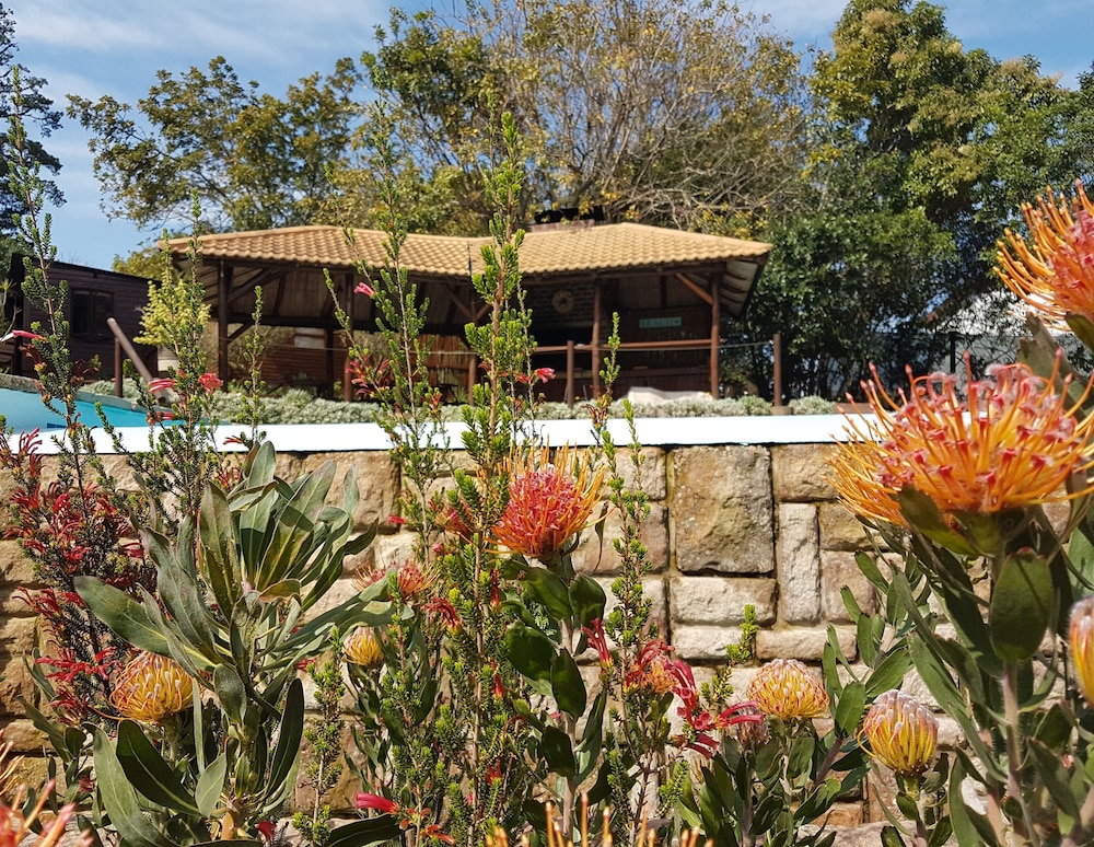 Pumula Lodge 5/50
