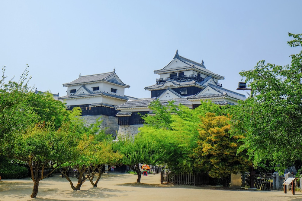 Matsuyama New Grand Hotel 47/50