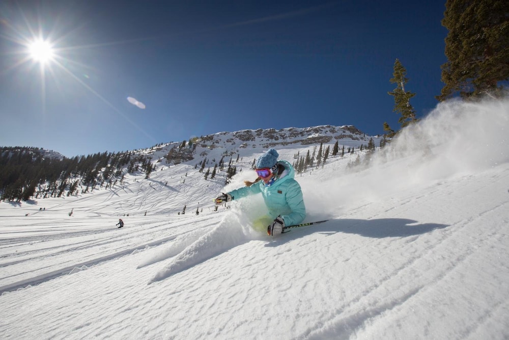 Lodge At Snowbird 24/31