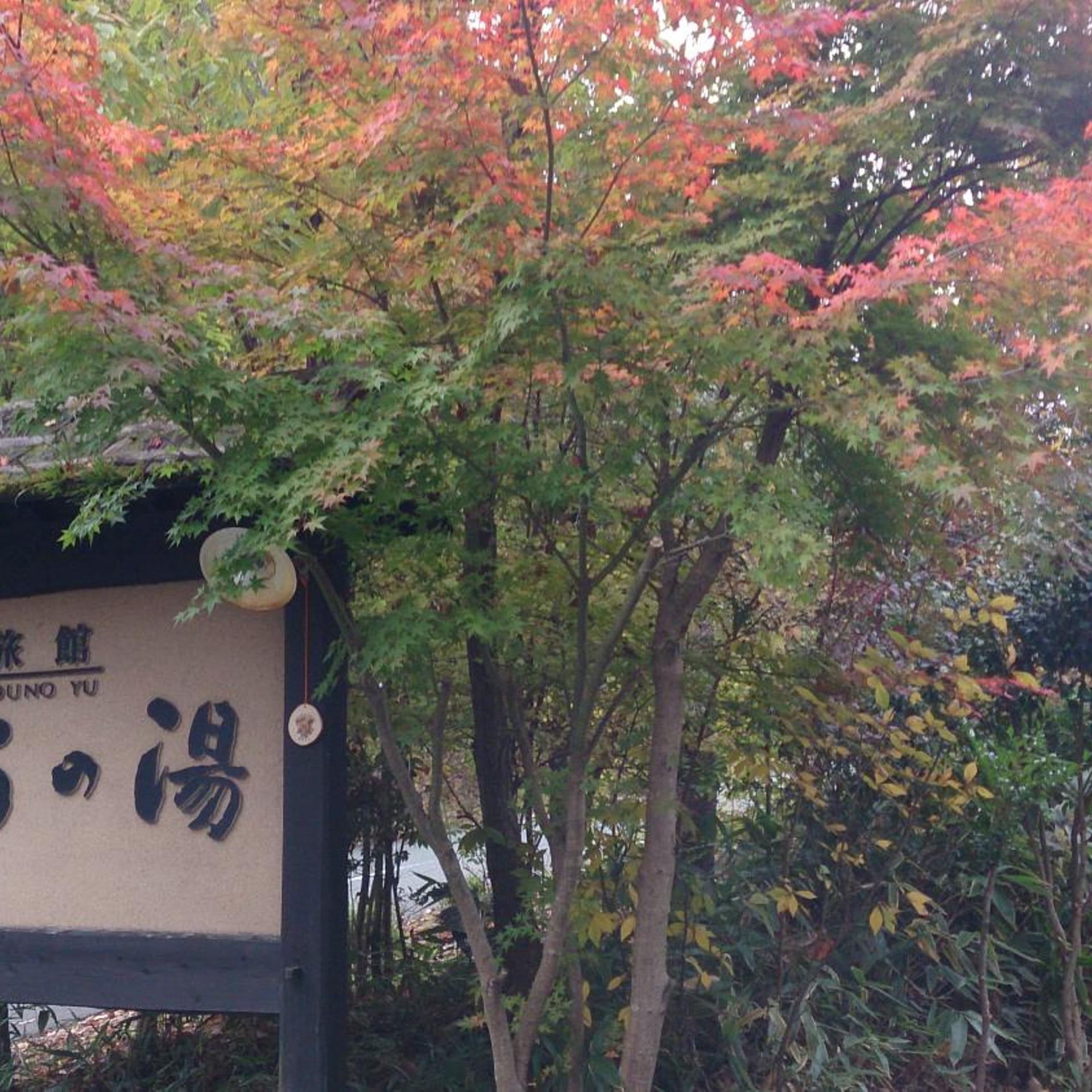 Ryokan Kono-Yu 49/50