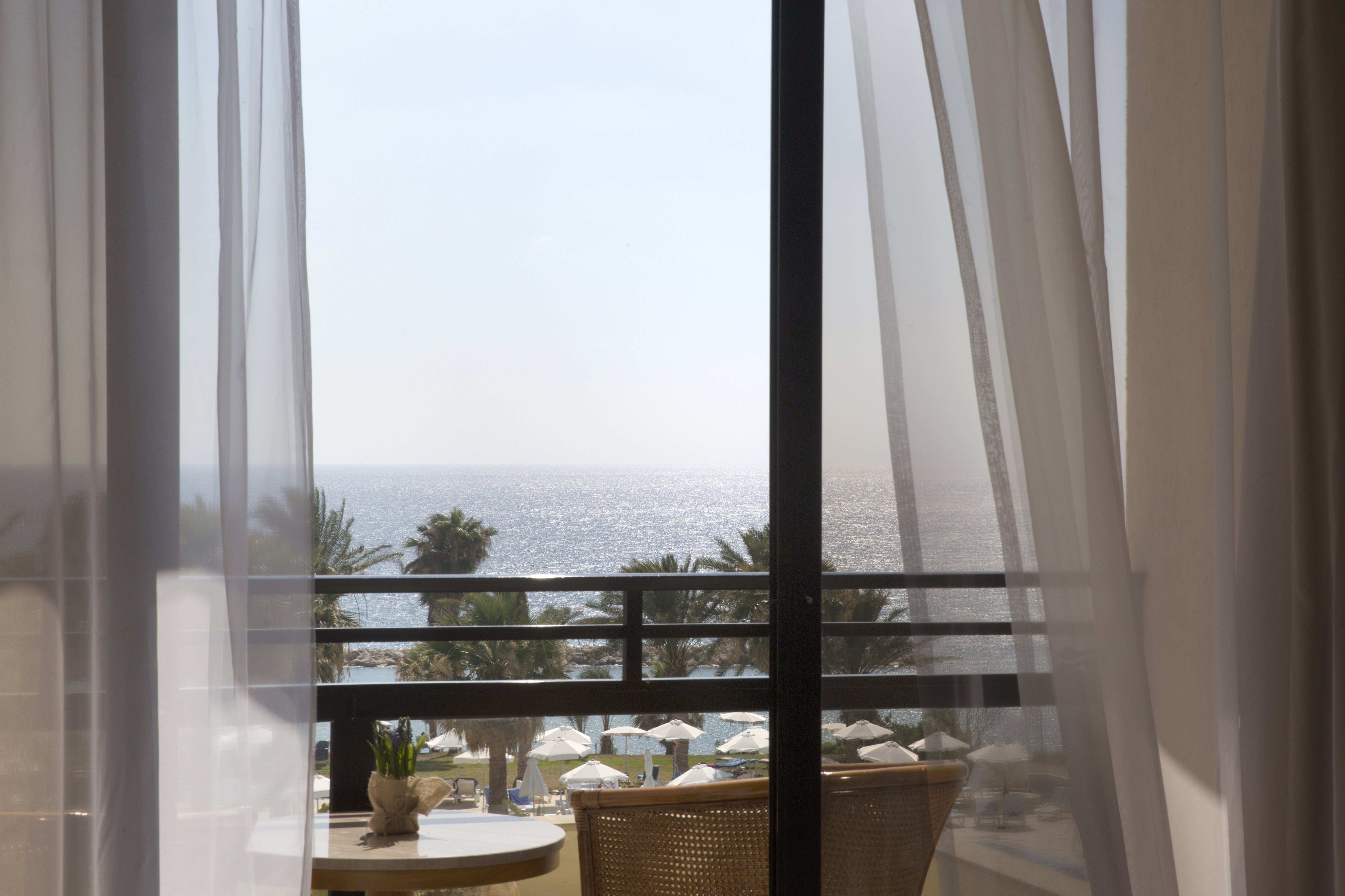 Venus Beach Hotel 57/57