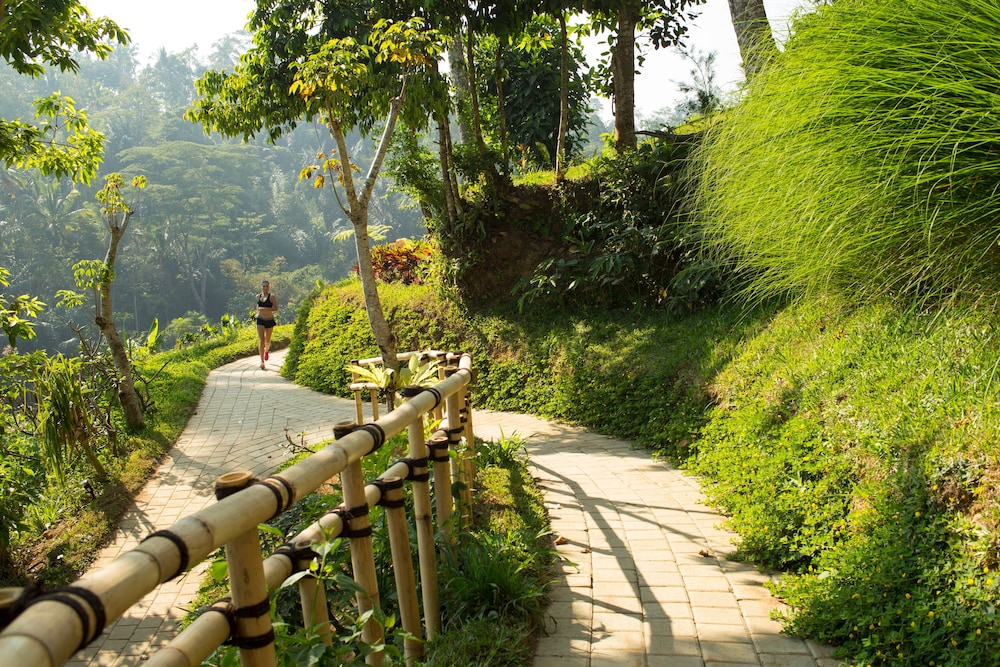 Padma Resort Ubud photo3
