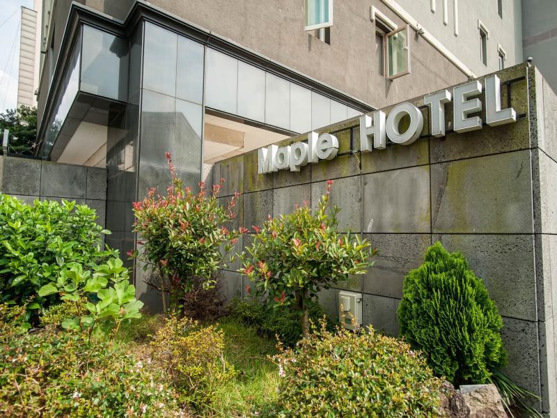 Hotel Maple 27/27
