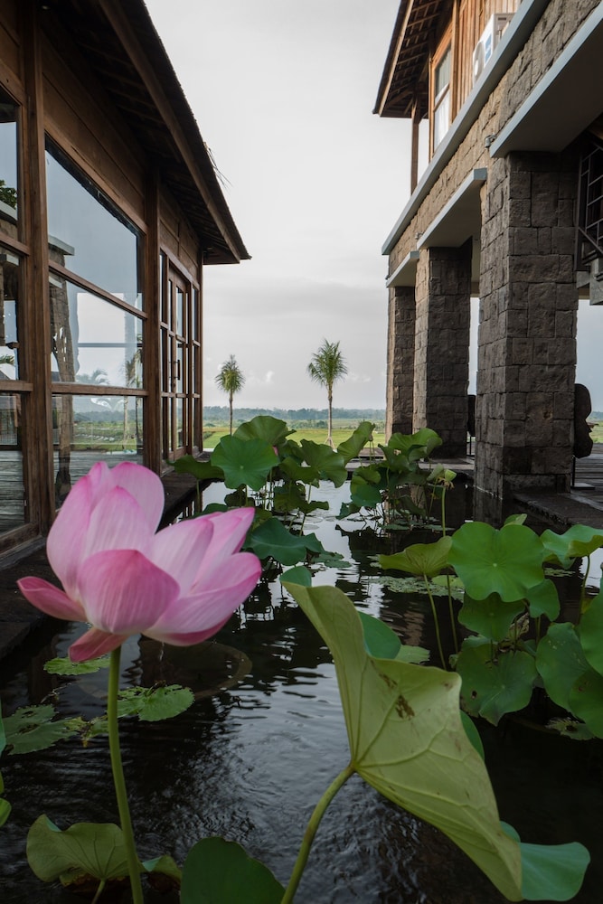 Alami Boutique Villas and Resort 61/72