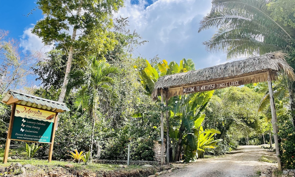 Mariposa Jungle Lodge 26/50