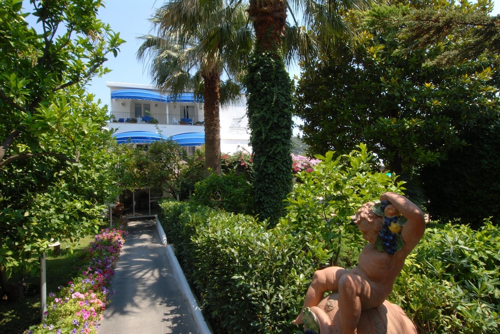 Pazziella Garden & Suites 7/66